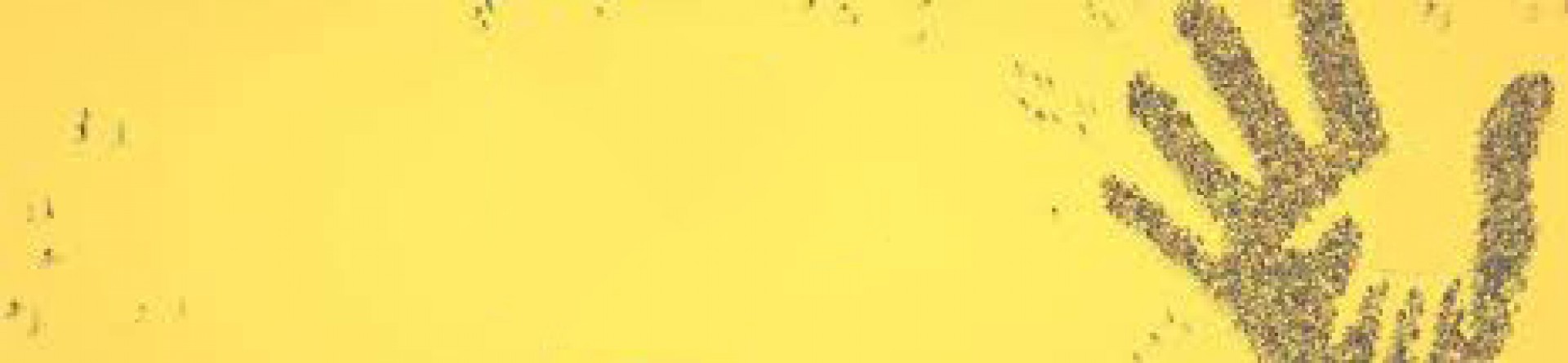 banner e-sic